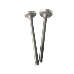 Bajaj Boxer Engine valves
