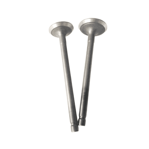 Bajaj Boxer Engine valves